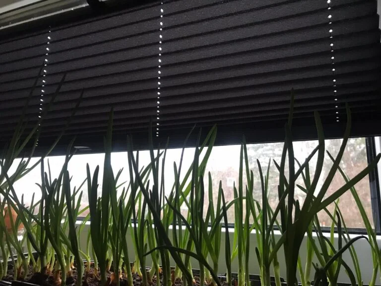 Vekkikaihtimen hoito-ohje